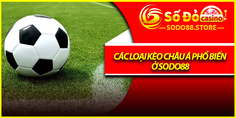 Các loại kèo châu á phổ biến ở Sodo88