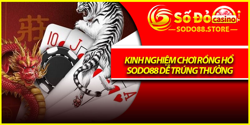Kinh nghiệm chơi Rồng Hổ Sodo88 dễ trúng thưởng