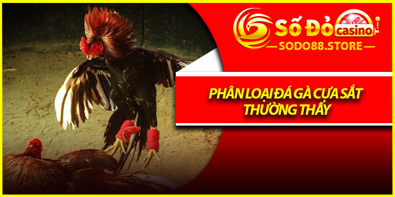 Phân loại đá gà cựa sắt thường thấy