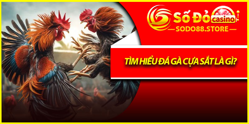 Tìm hiểu đá gà cựa sắt là gì?