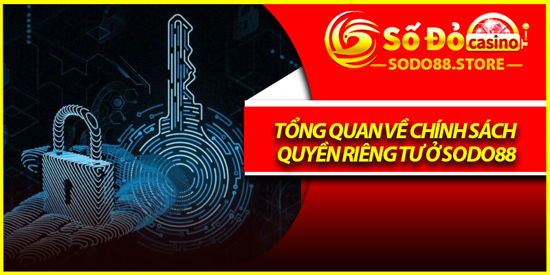 Tổng quan về chính sách quyền riêng tư ở Sodo88