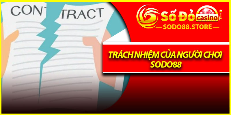 Trách nhiệm của người chơi Sodo88