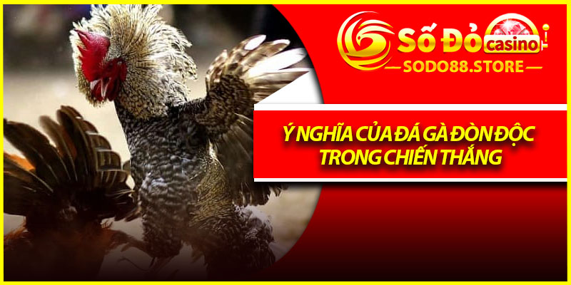 Ý nghĩa của đá gà đòn độc trong chiến thắng